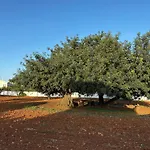 Solar Dos Avos ファームステイ ギーア