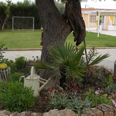 Solar Dos Avos Farm stay Guia (Faro)