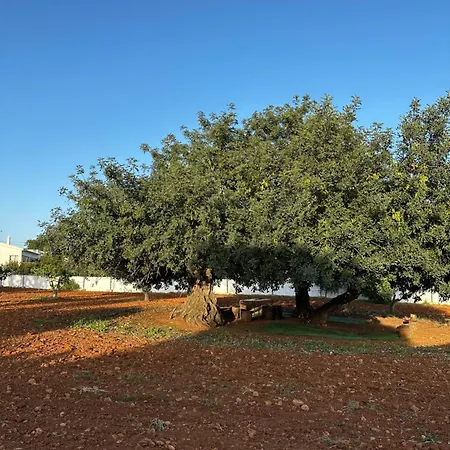 Solar Dos Avos Farm stay Guia (Faro)