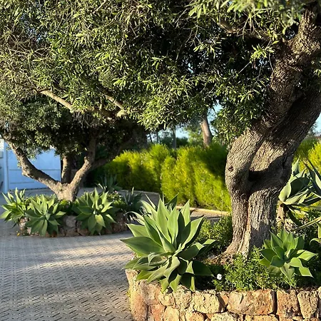 Solar Dos Avos Guia (Faro)