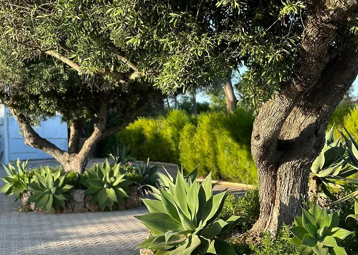 Solar Dos Avos Guia (Faro)