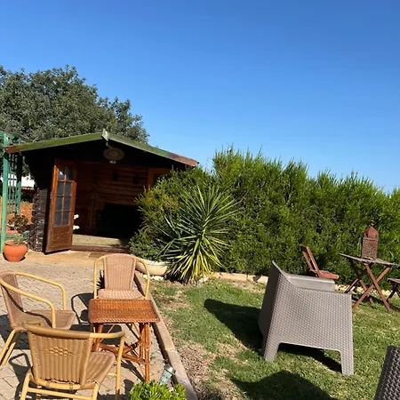 Solar Dos Avos * 기아